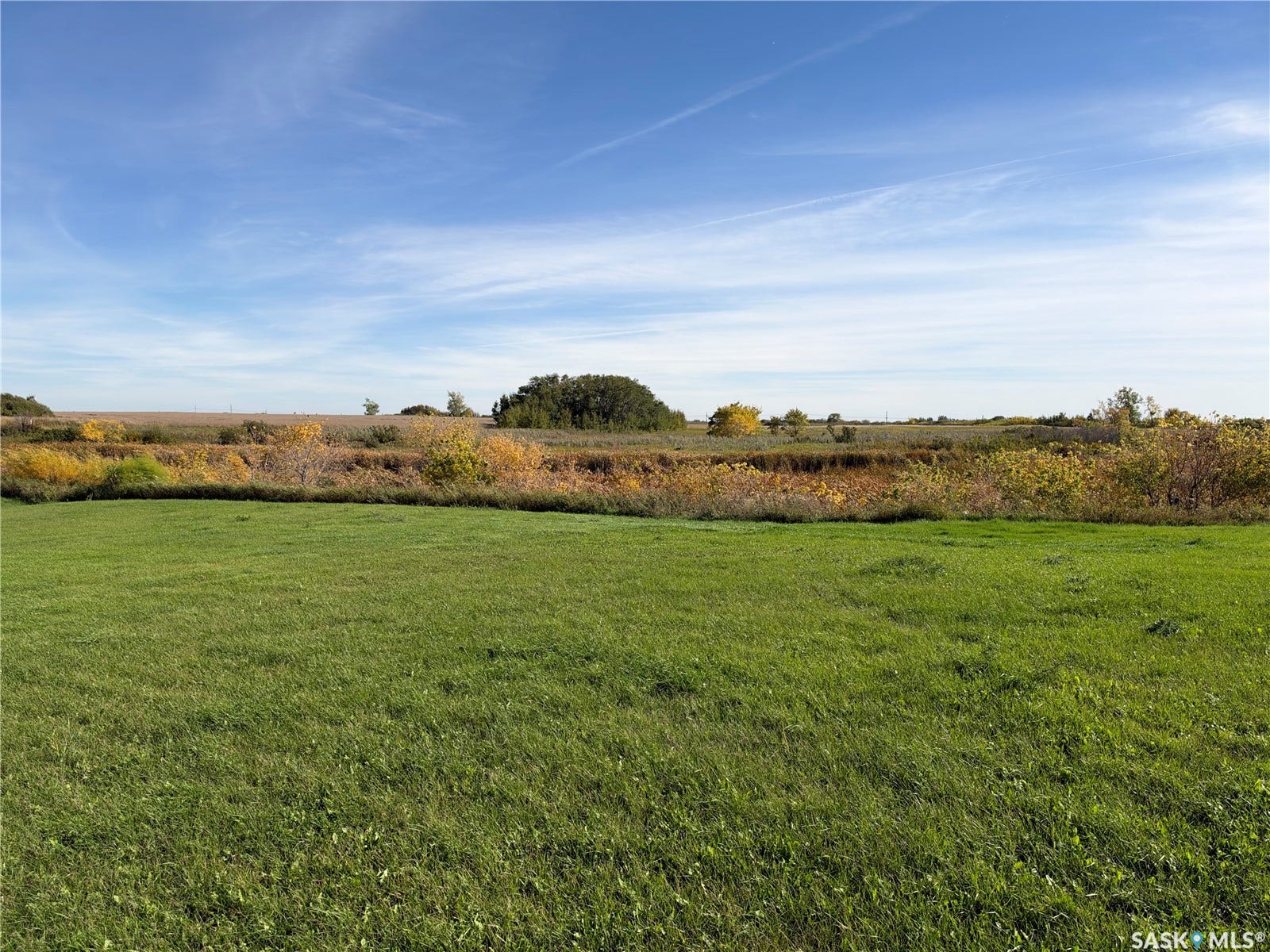 Expansive green space featuring natural landscaping with varied foliage and a clear sky backdrop