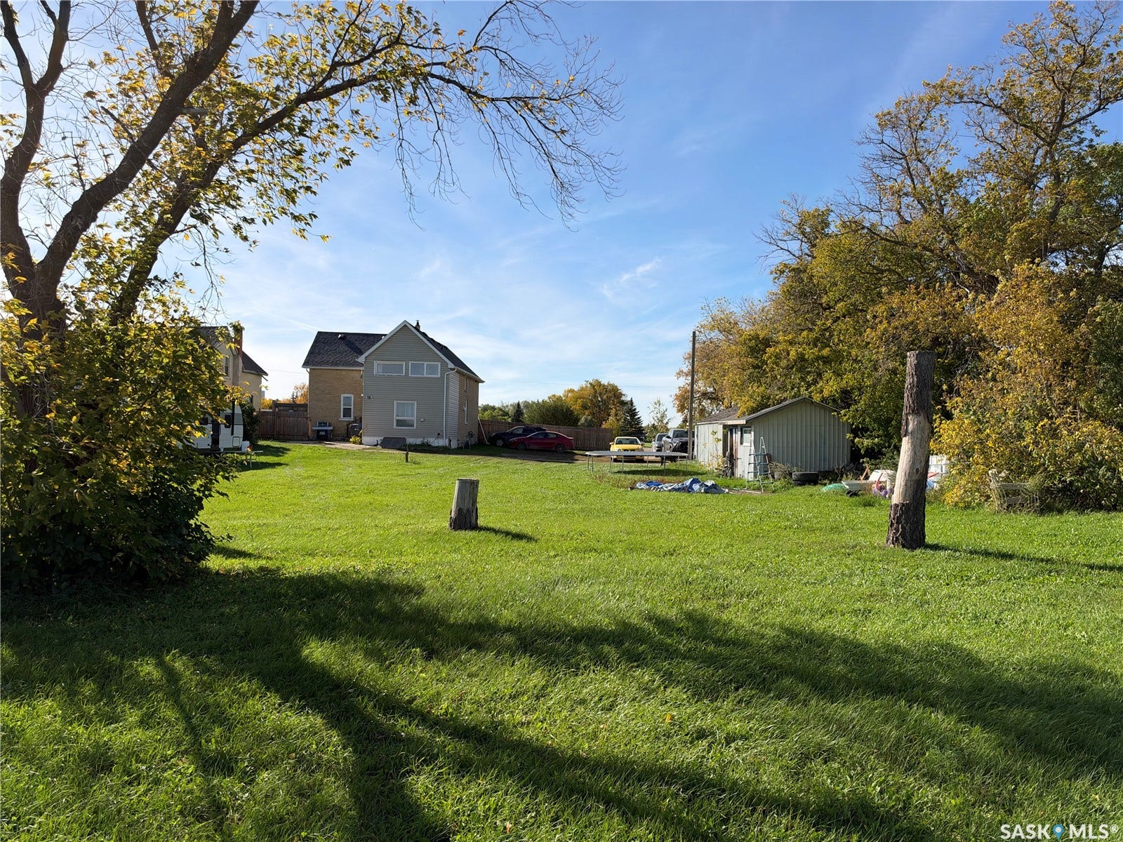 Expansive lawn with mature trees and a detached shed