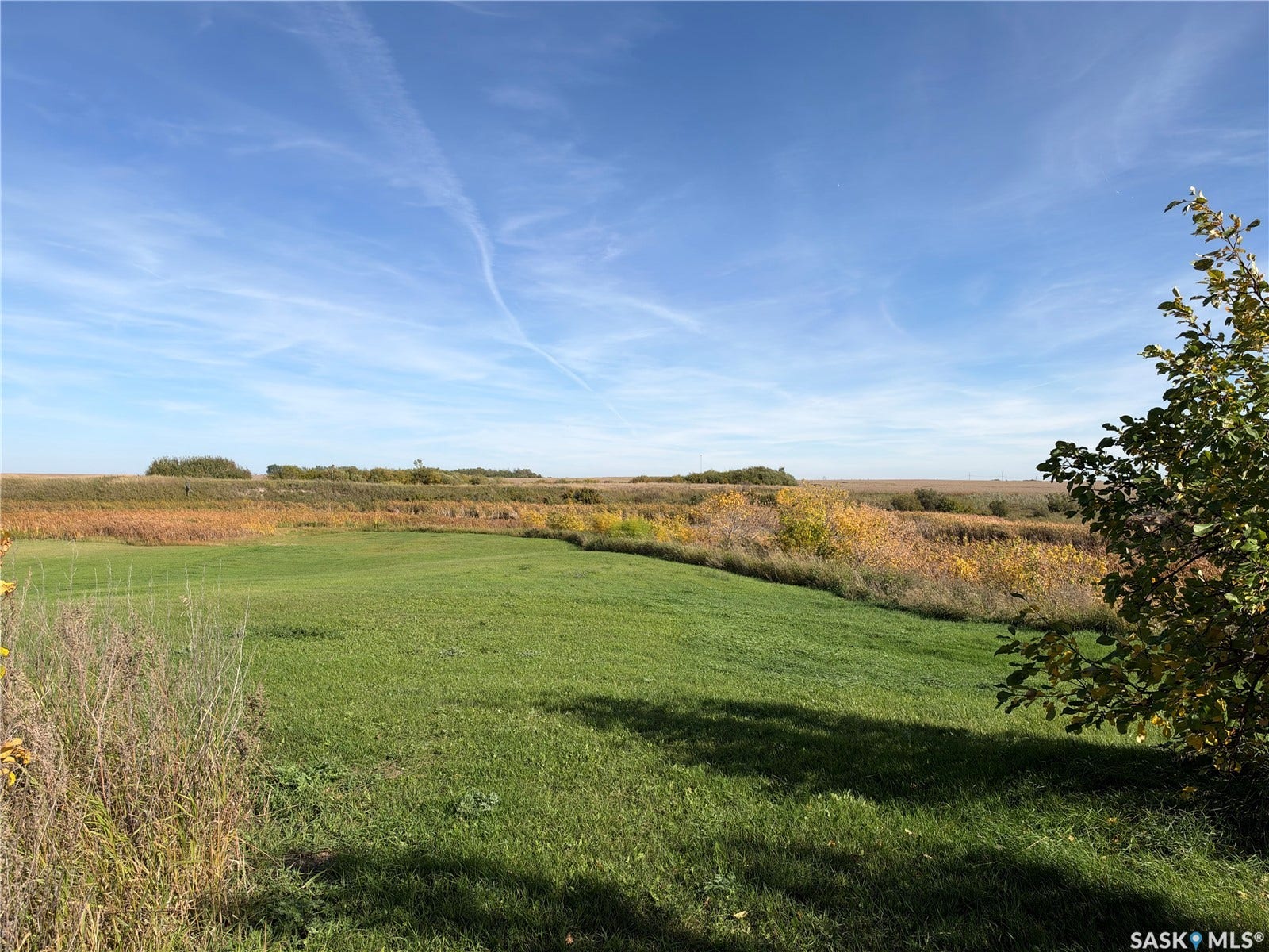 Expansive green space with natural landscaping, mature foliage, and clear skies