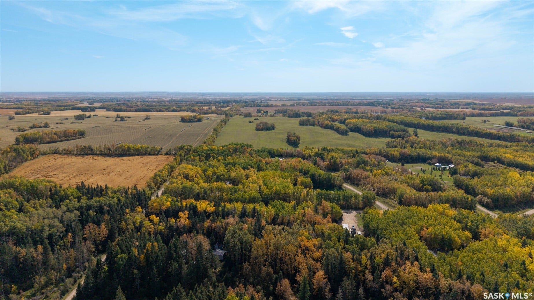 Expansive land parcel featuring mixed forests, open fields, and diverse foliage