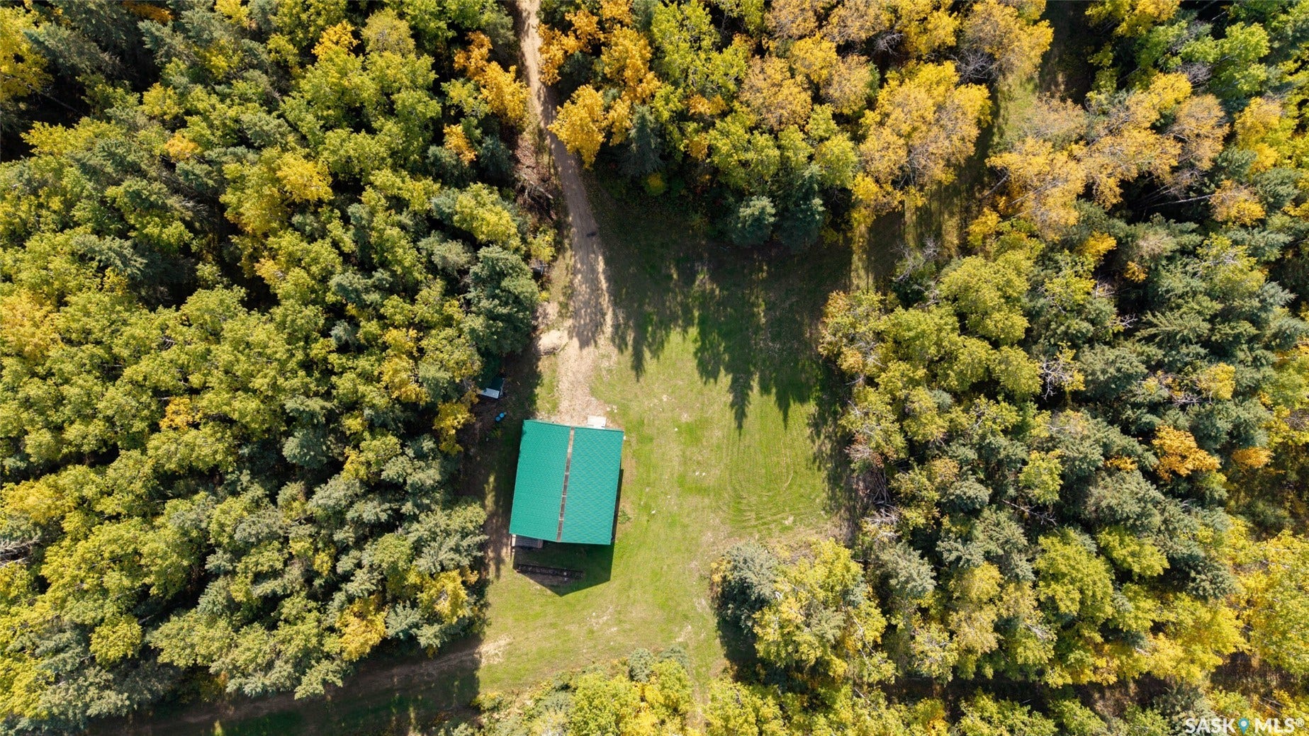 Structure with a green metal roof surrounded by extensive mature trees