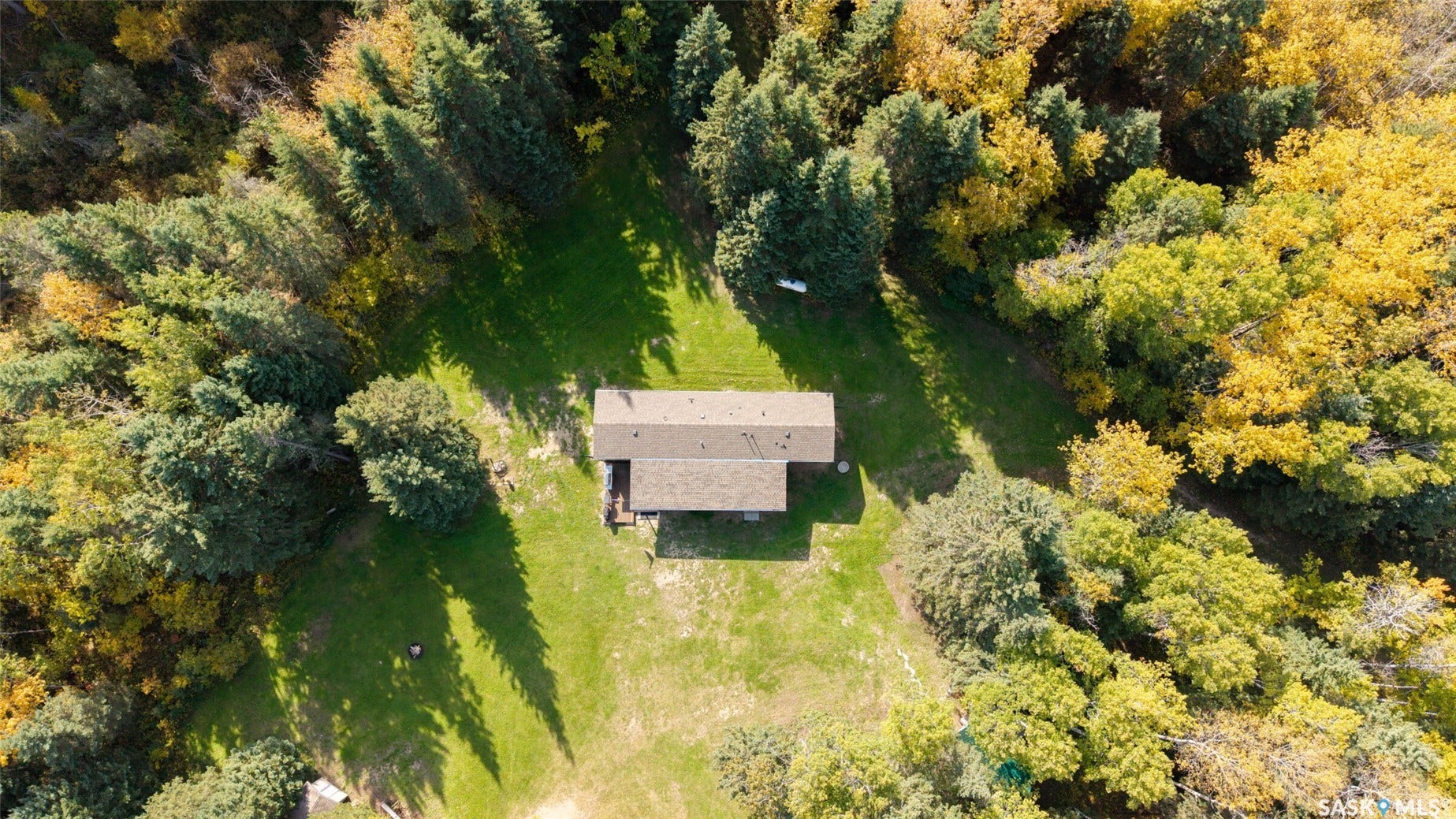 Structure with a gabled roof surrounded by dense mature trees