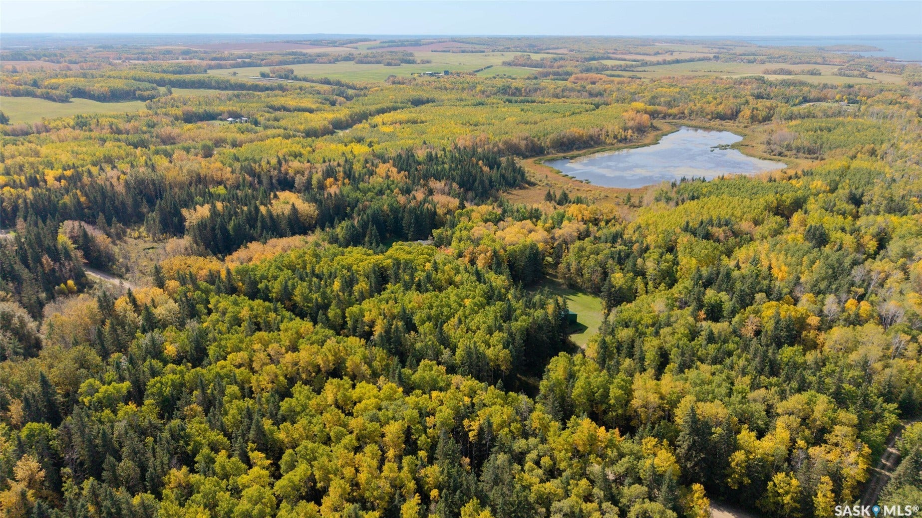 Expansive wooded landscape featuring a natural water body and varied tree foliage