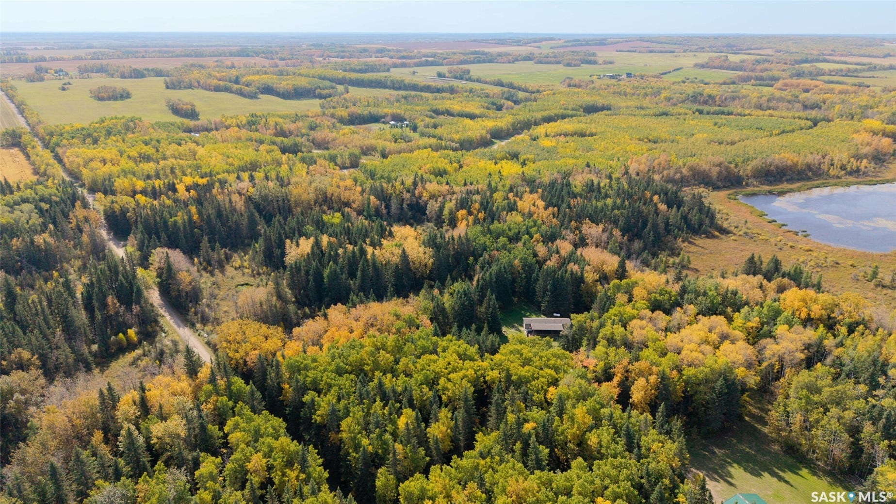 Extensive wooded acreage featuring a single-story structure, a natural body of water, and surrounding open fields