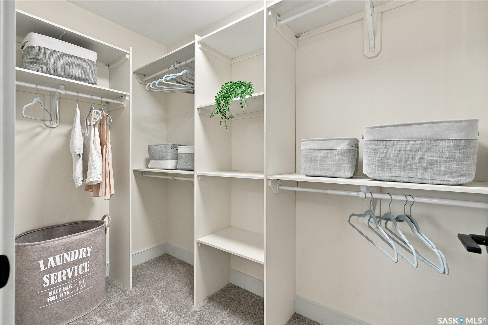Walk-in closet with carpet flooring, white shelving, and multiple hanging rods