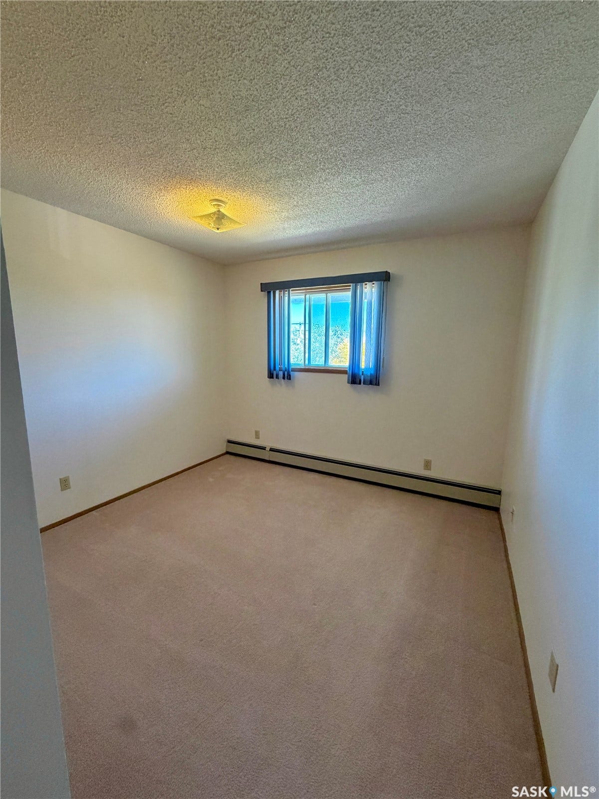 305 1st Street W, #301, Rosetown SK S0L 2V0 Wall-to-wall carpeting, window with light-filtering blinds, and ceiling-mounted light fixture
