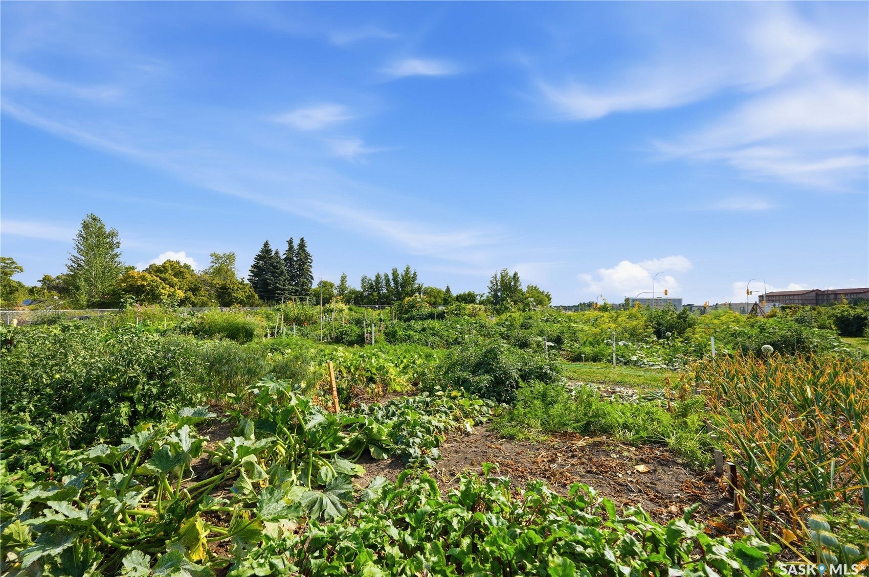Private community garden nearby (membership required)