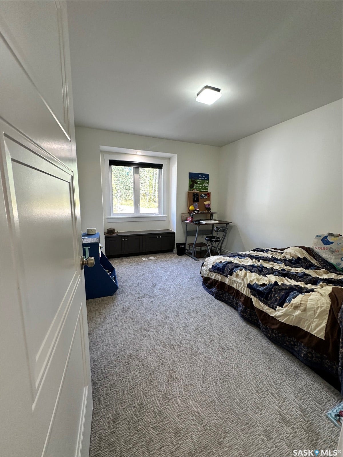 White paneled door with brushed nickel hardware, light patterned carpeting, recessed window with a dark roller shade, and a flush mount ceiling light fixture