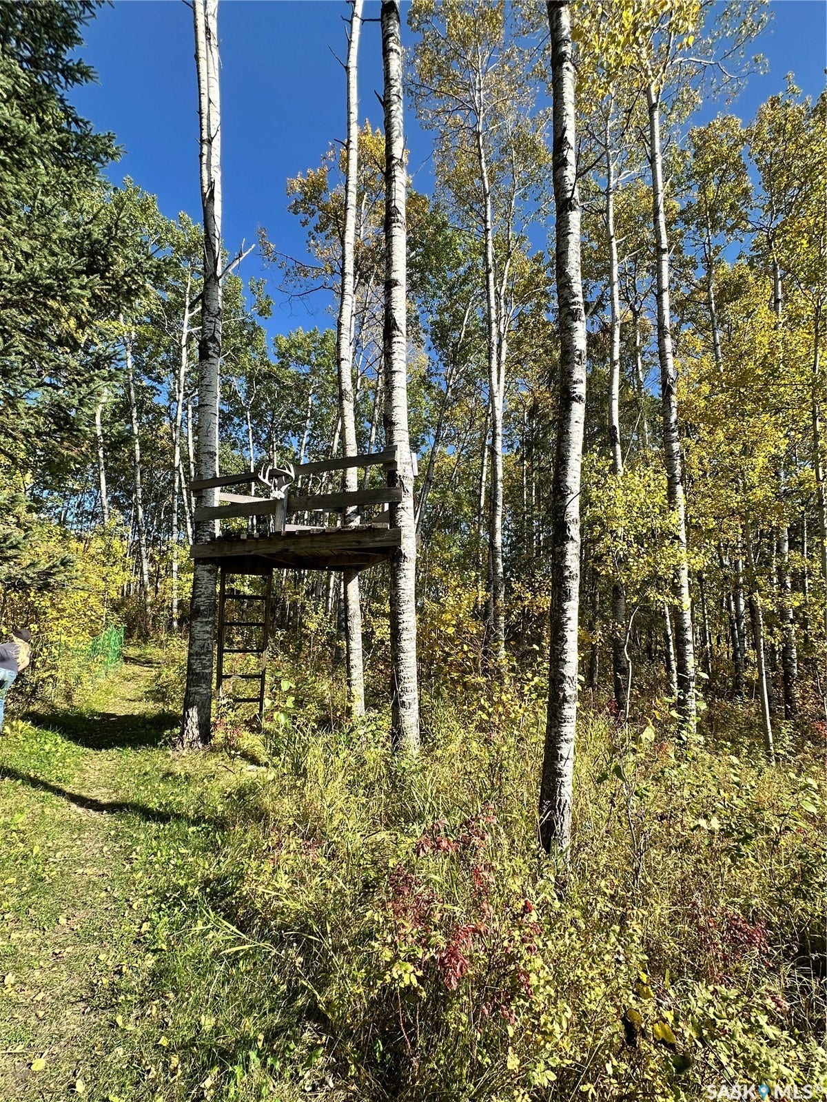 Rural Address, Hazel Dell Rm No SK S0A 3B0