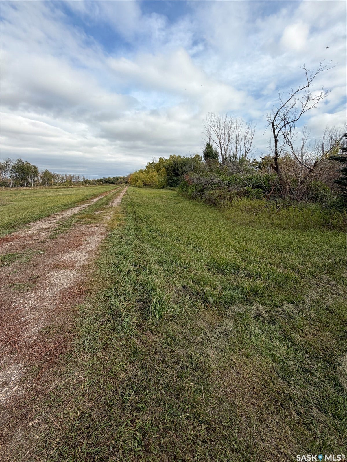 Expansive natural landscape with a gravel path and mature trees