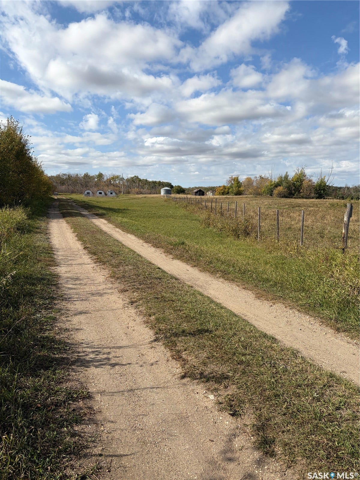 Unpaved path bordered by grassy verges and mature foliage