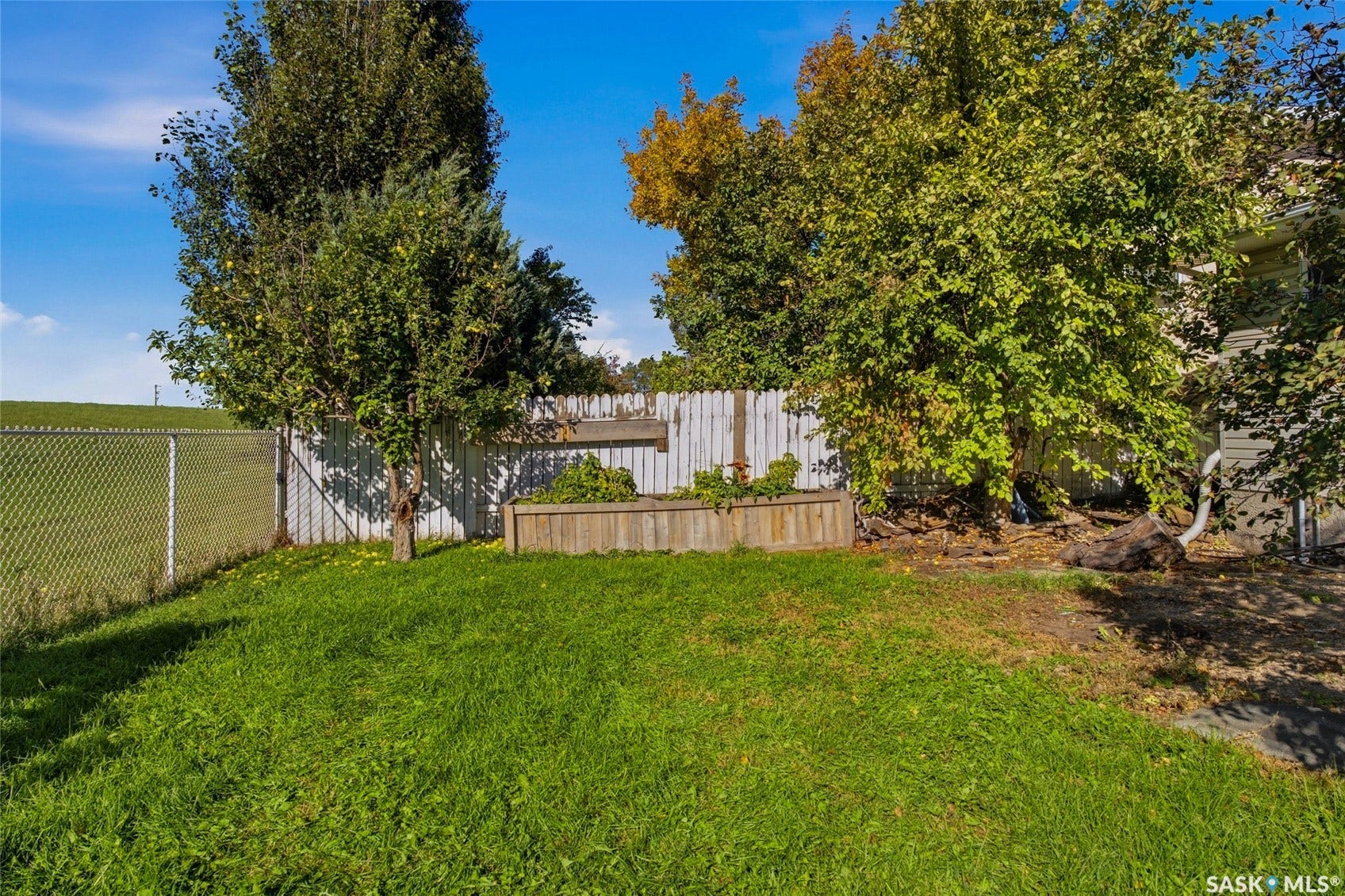 Expansive backyard featuring a manicured lawn, established trees, chain link fencing, and a wooden planter box