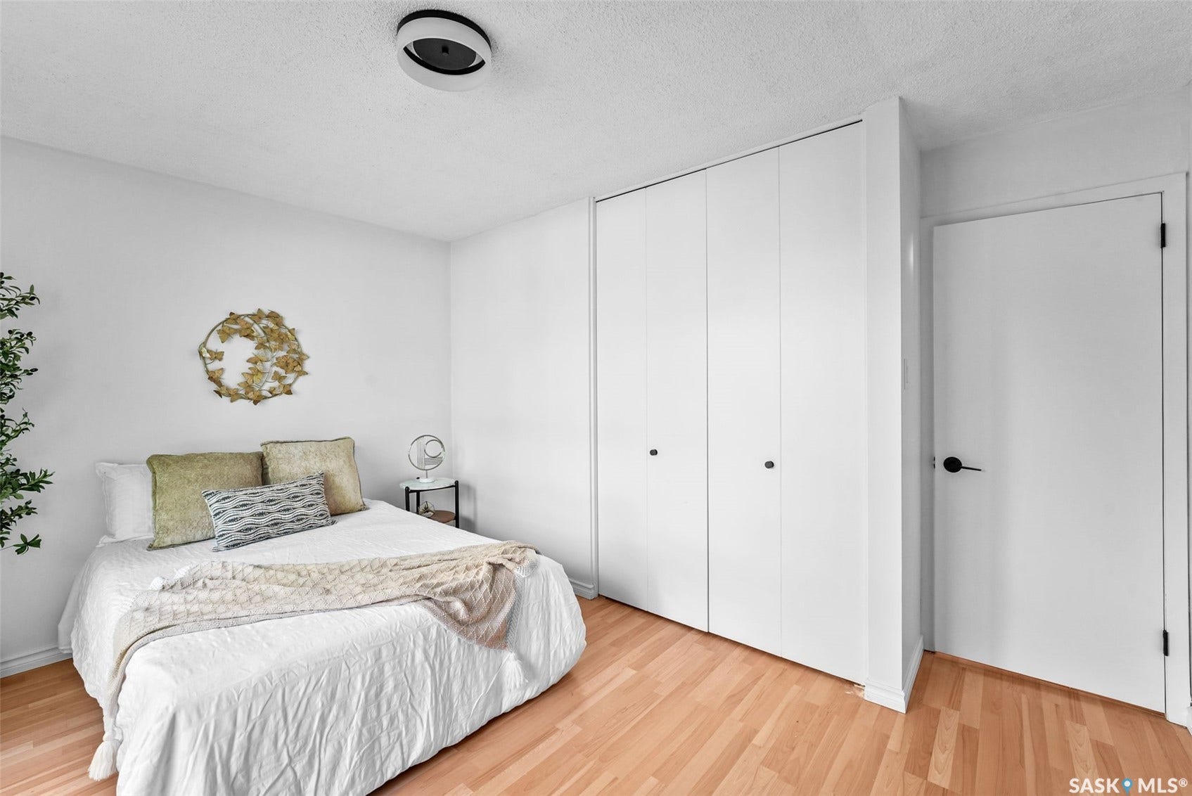 Light wood-finish flooring, white walls, built-in closet with white doors, flush-mount ceiling light