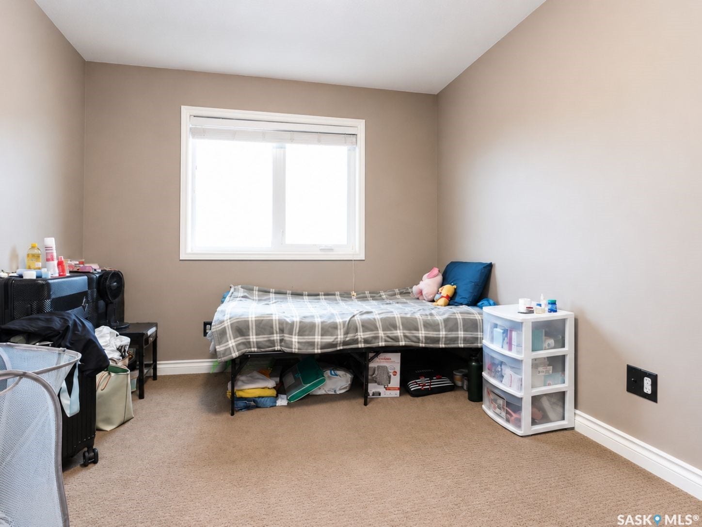 Neutral tone wall paint, white trim, and carpet flooring