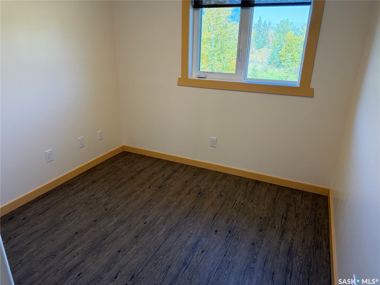 Wood-finish flooring, white walls, and a window with a roller shade