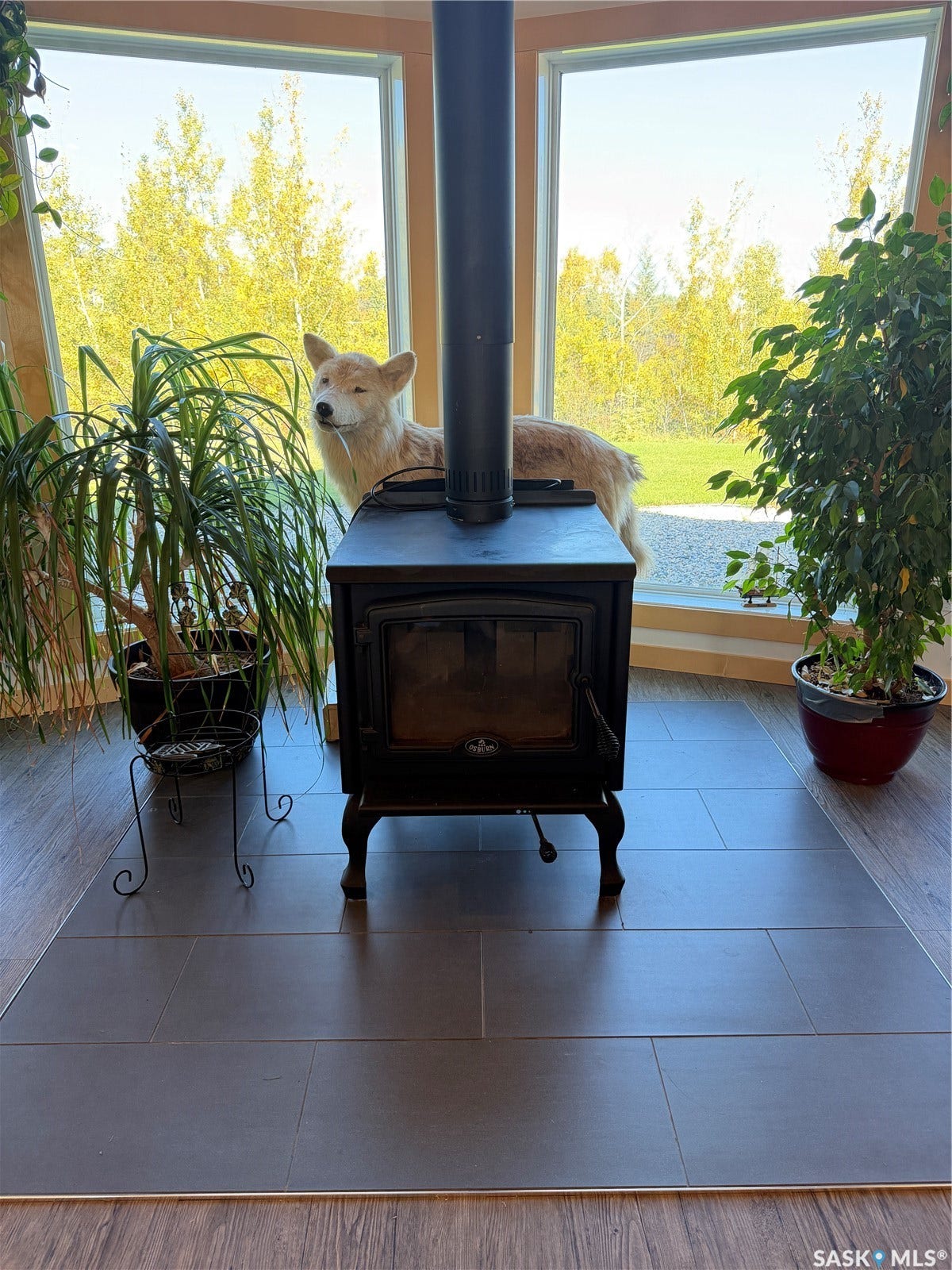 Bay window with expansive glass panels, wood-finish flooring, a freestanding wood-burning stove, and a tile hearth