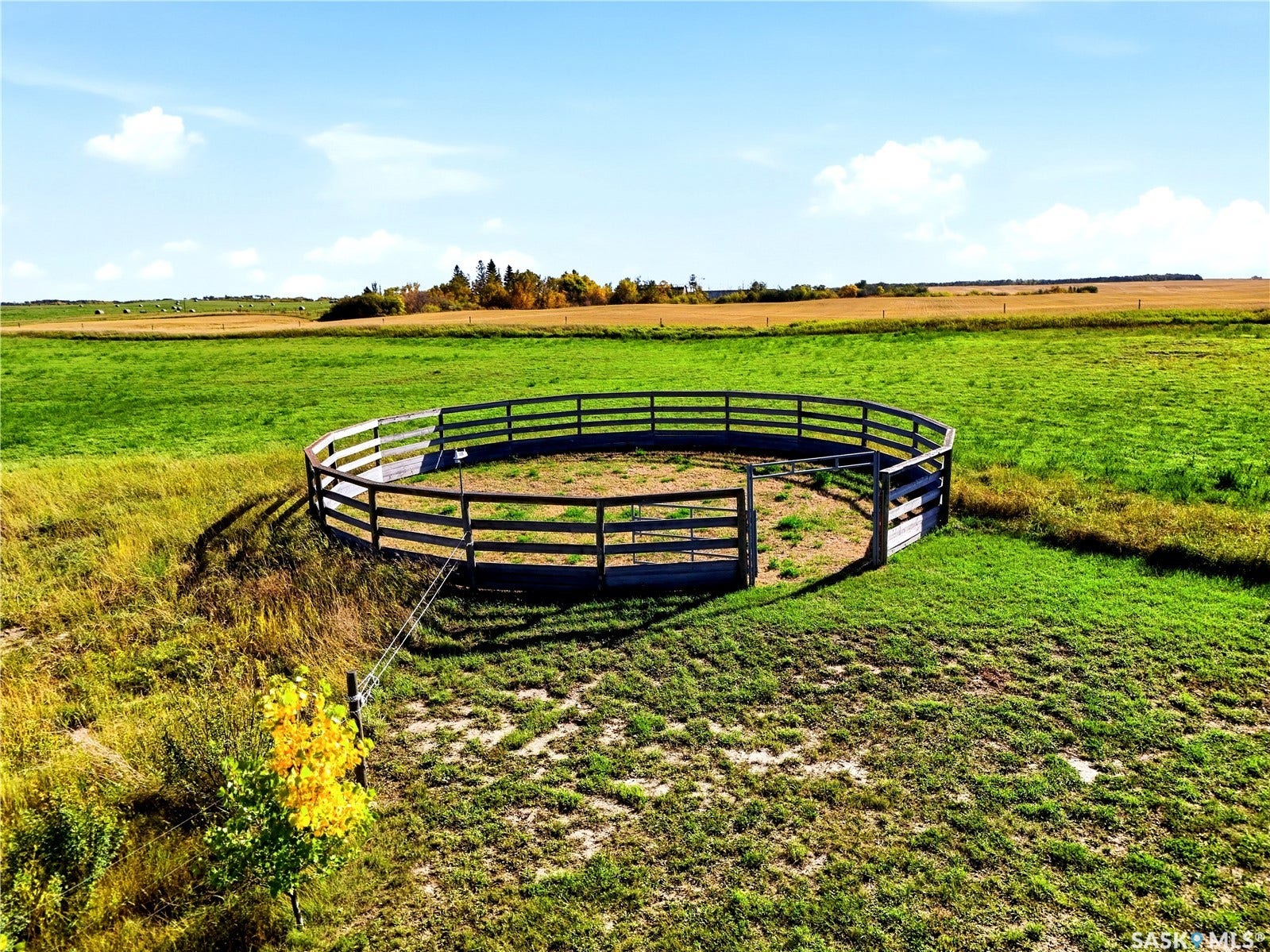 Expansive green fields featuring a round pen with a wooden fence and gate