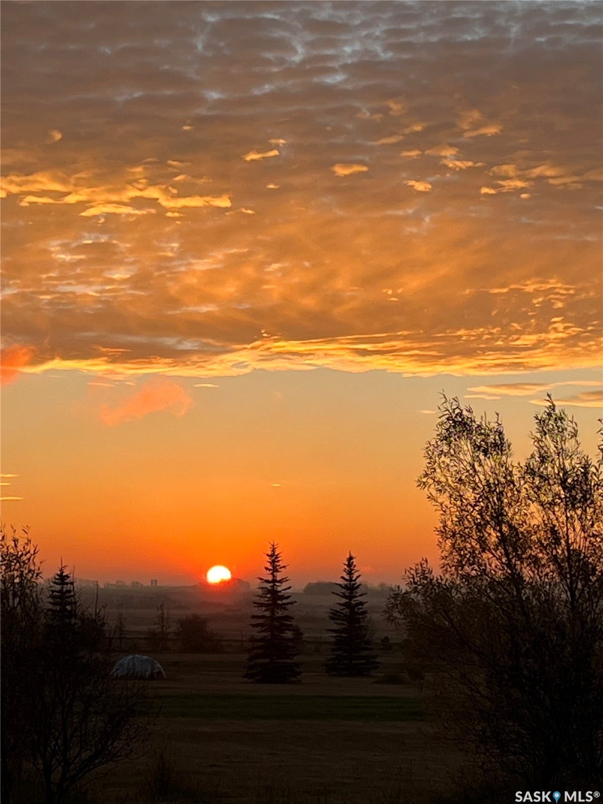 20 Werschner Drive, Dundurn Rm No SK S7K 3J8