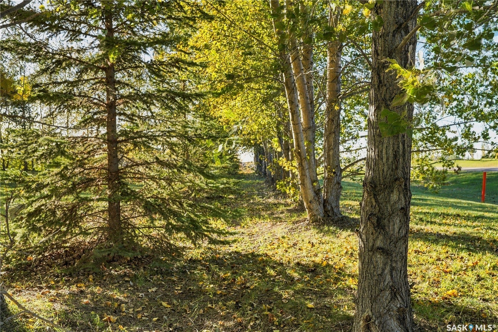 20 Werschner Drive, Dundurn Rm No SK S7K 3J8