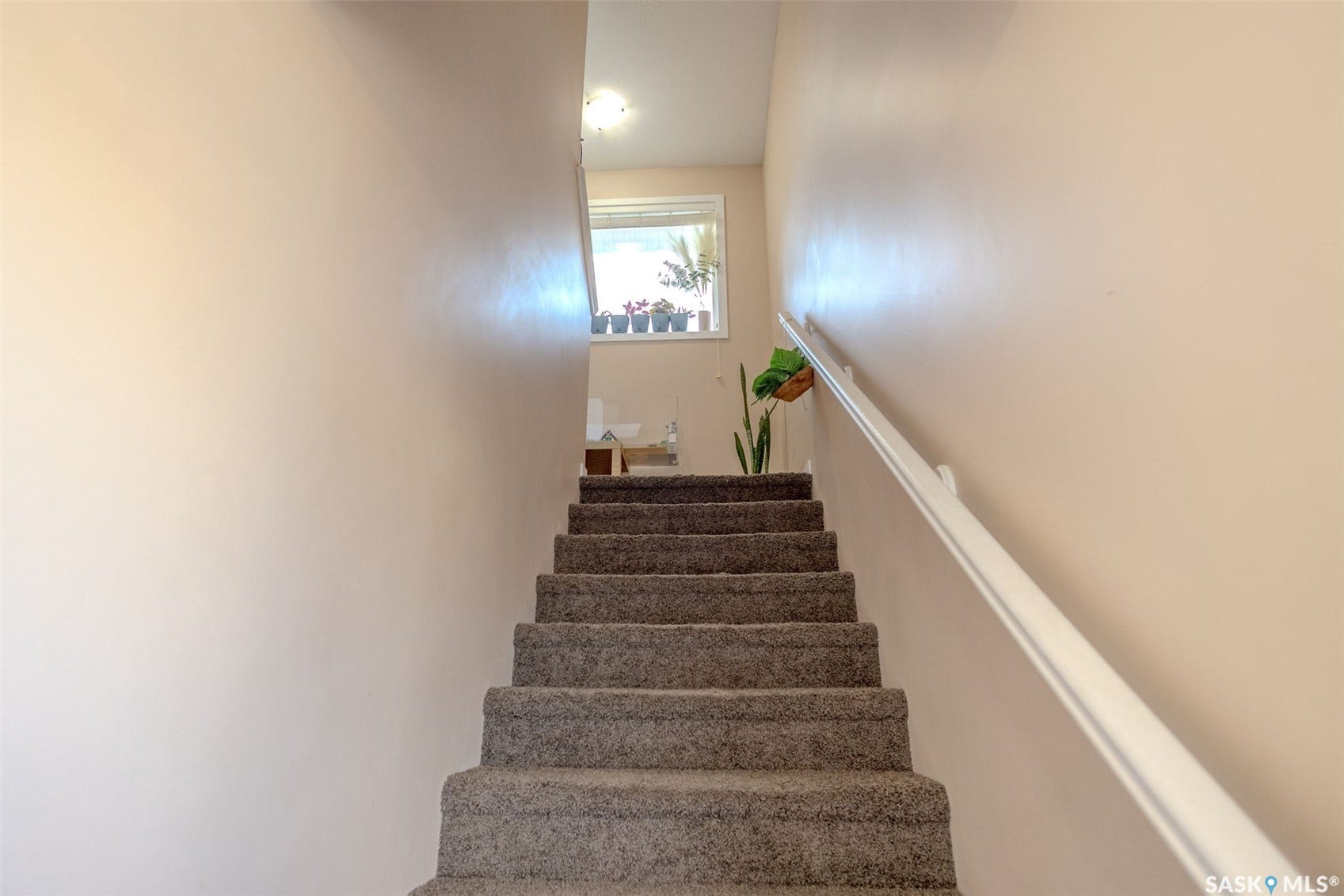 Carpeted stairway with a white handrail and neutral wall tones