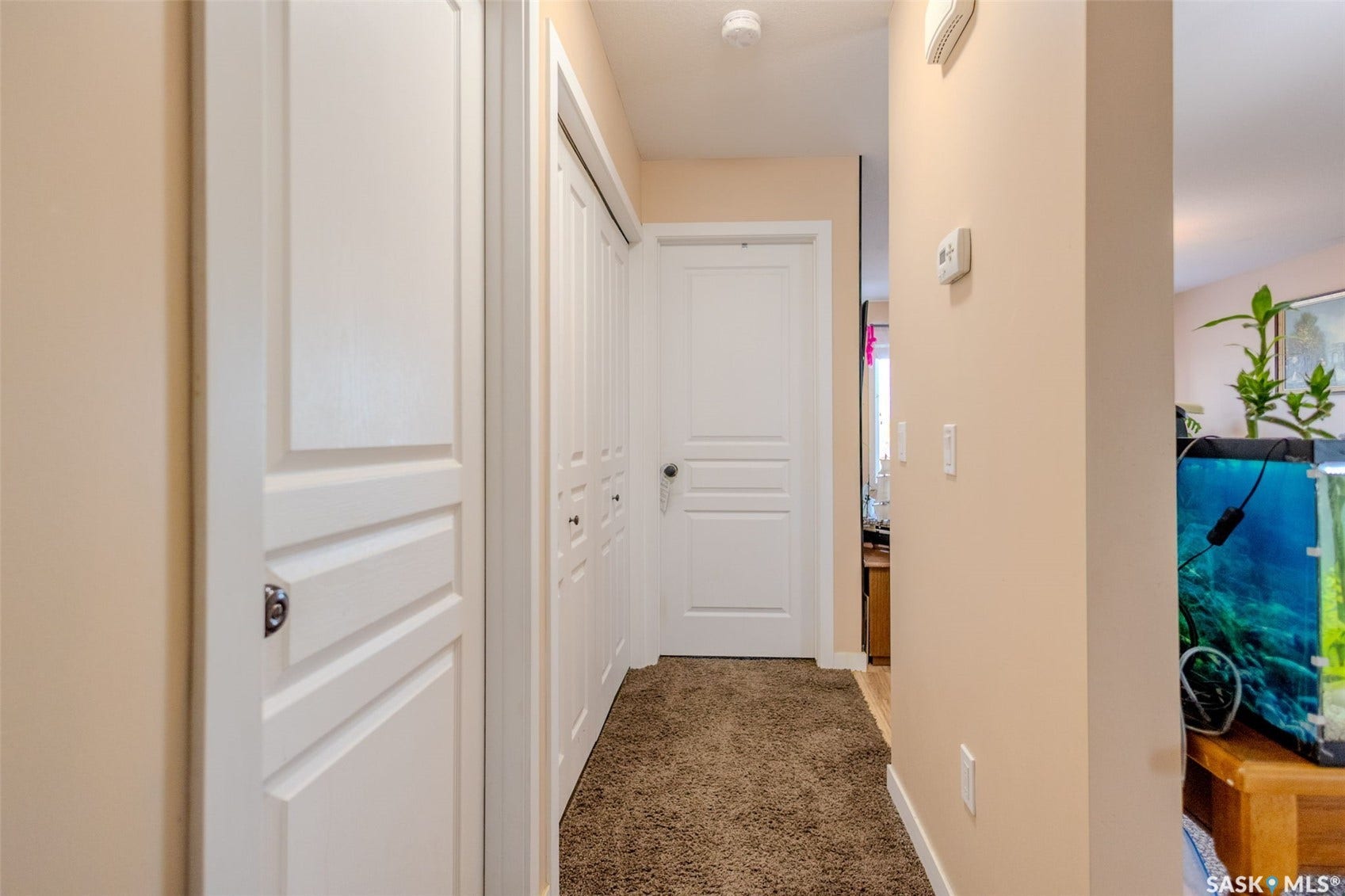 Hallway with warm-toned walls, white paneled doors, and brown carpeting