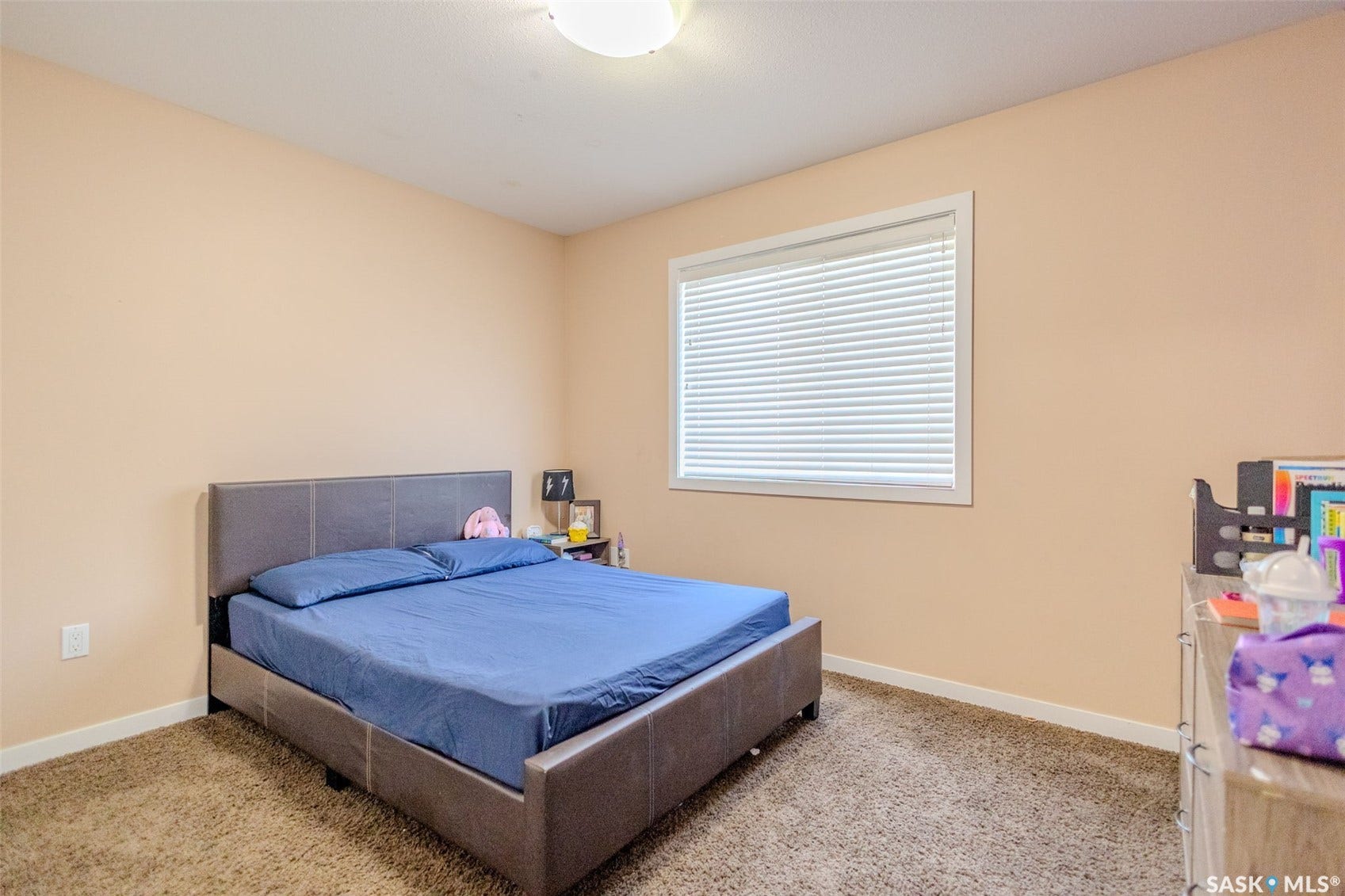 Neutral-toned wall finish, recessed window with horizontal blinds, overhead ceiling light fixture, and brown carpeting