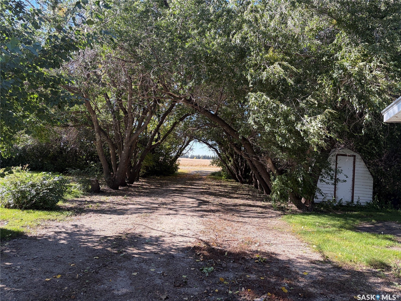 Rural Address, Big Quill Rm No SK S0A 4T0