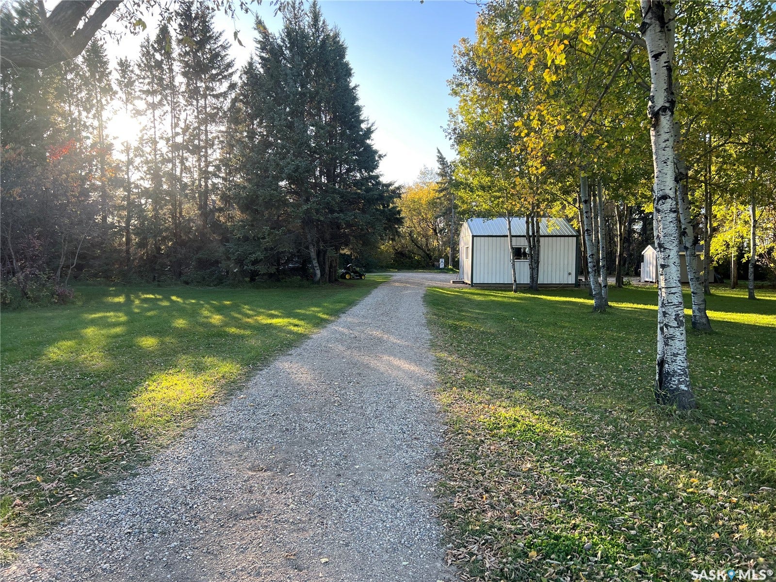 Gravel driveway leading to a white metal-sided outbuilding with a single window, surrounded by mature trees and a grass lawn