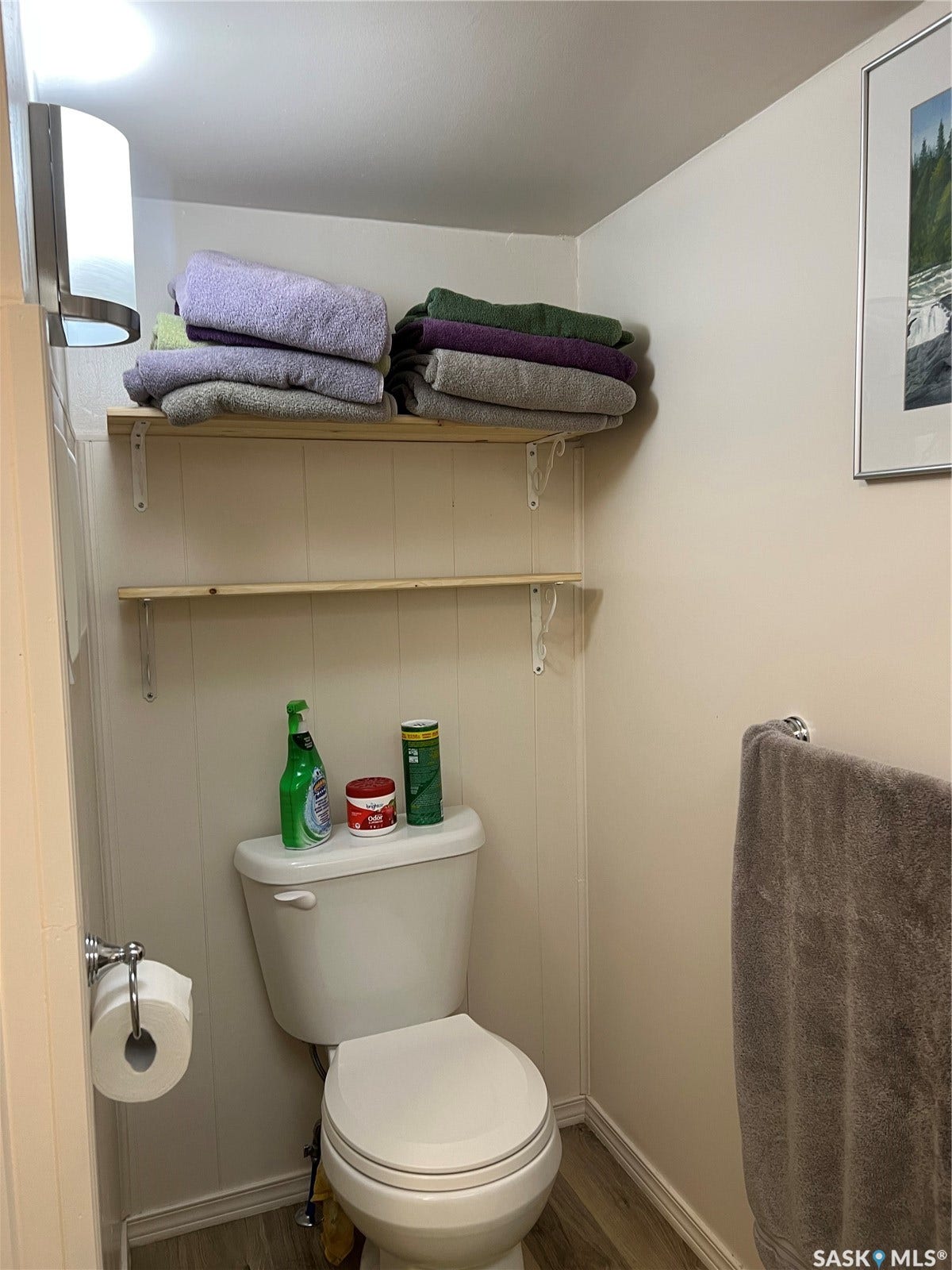 Toilet with a wood-finish flooring and paneling