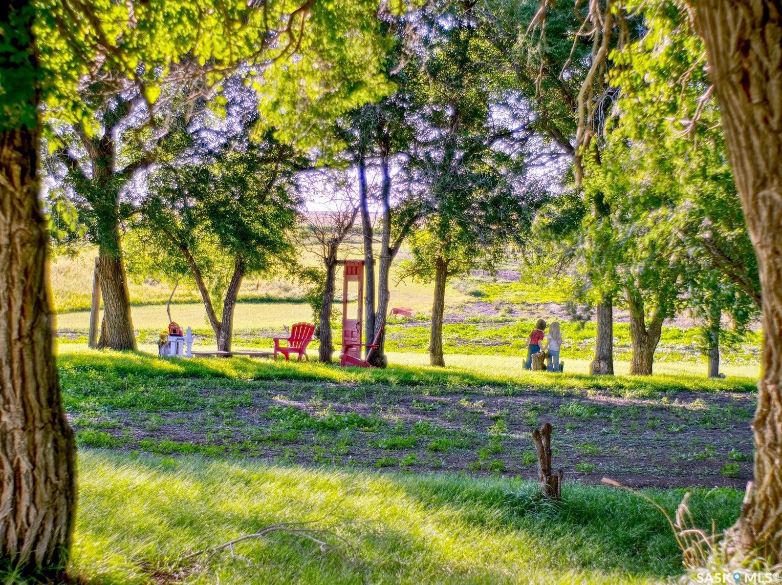 Expansive green space featuring numerous mature trees, a manicured lawn, and a natural landscape beyond