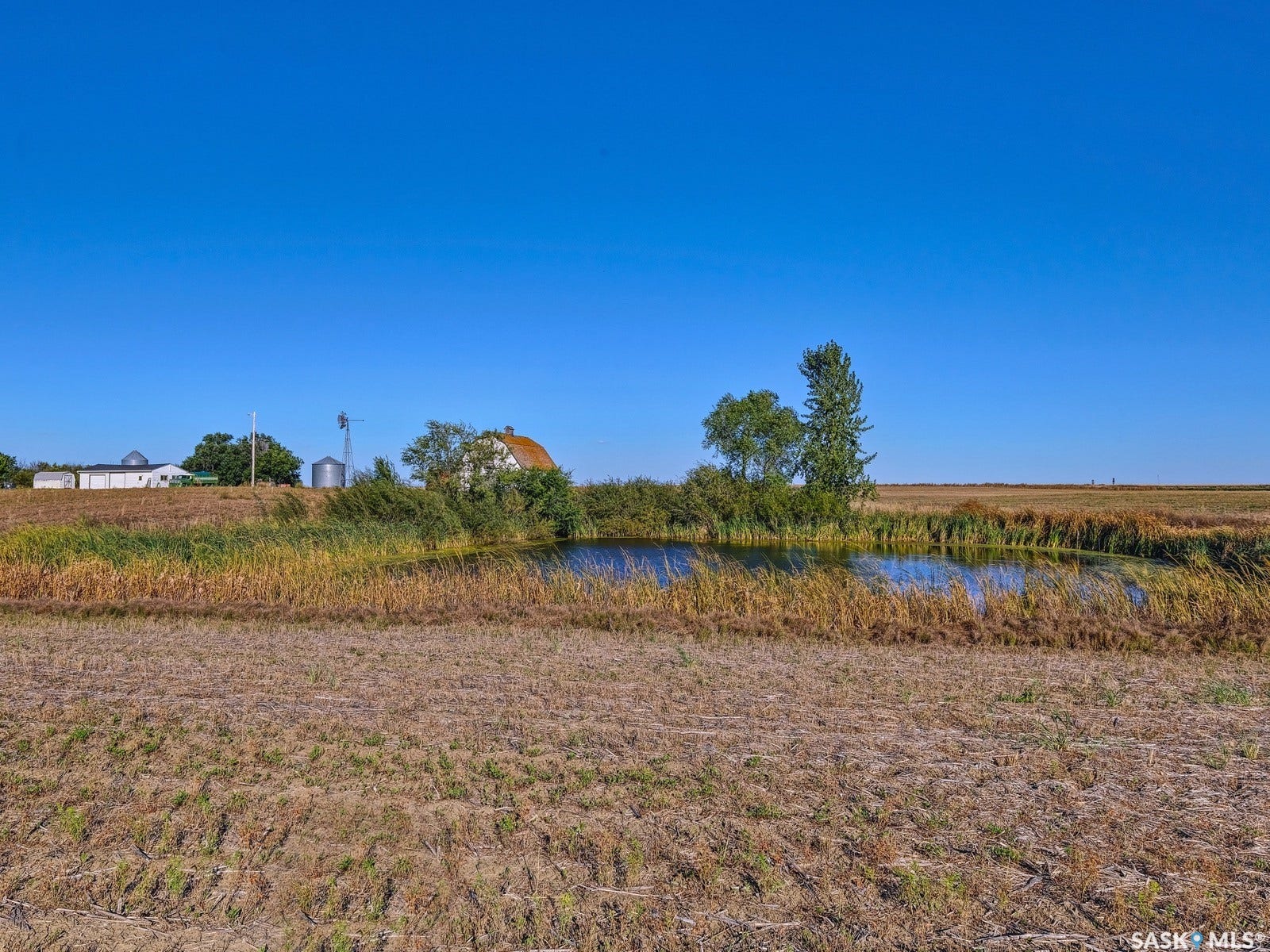 Rural setting featuring a water body, mature trees, and agricultural structures