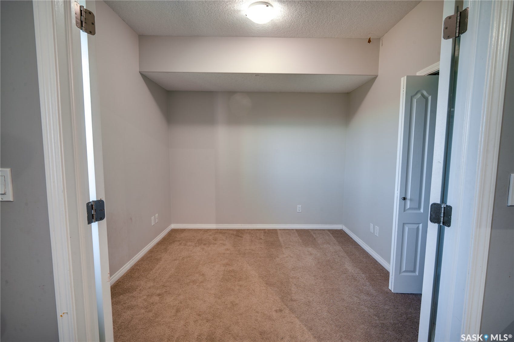 Neutral wall color, carpeted flooring, overhead lighting, white trim, and a paneled door