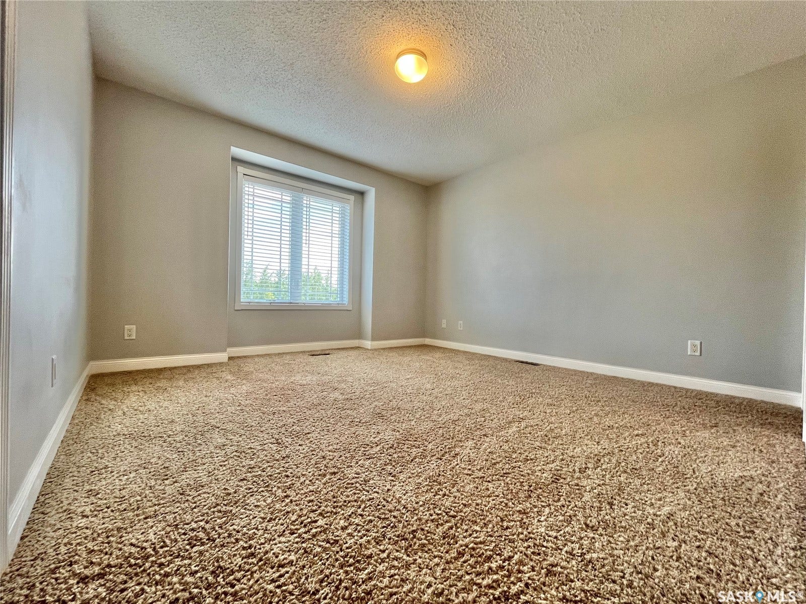 Neutral-toned walls, textured carpeting, a window with blinds, and white trim