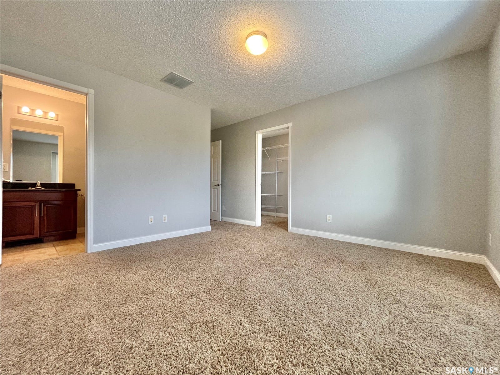 Neutral-toned carpeted flooring throughout, light gray wall finishes, and a flush-mount ceiling light fixture