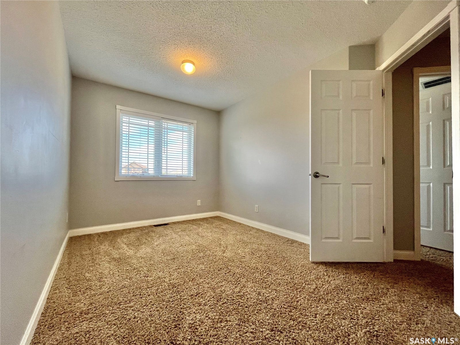 Wall-to-wall carpeting with light gray walls, a window with horizontal blinds, and a paneled door