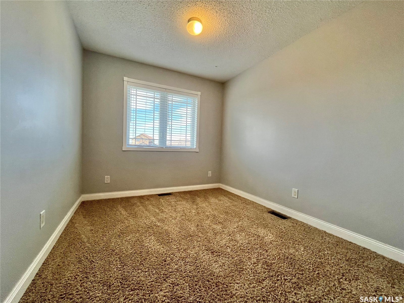 Neutral wall color, wall-to-wall carpeting, window with blinds, and ceiling-mounted light fixture