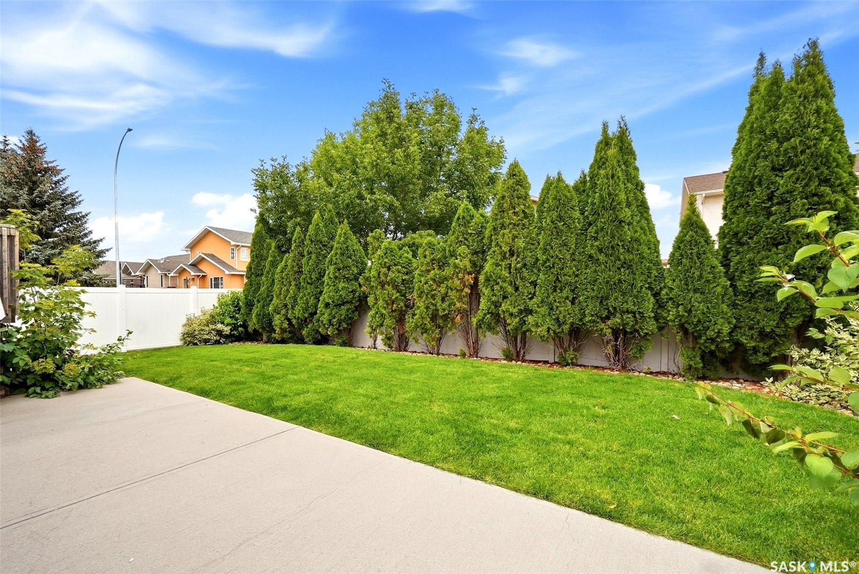 Expansive lawn with mature evergreen trees, a concrete patio, and a white privacy fence