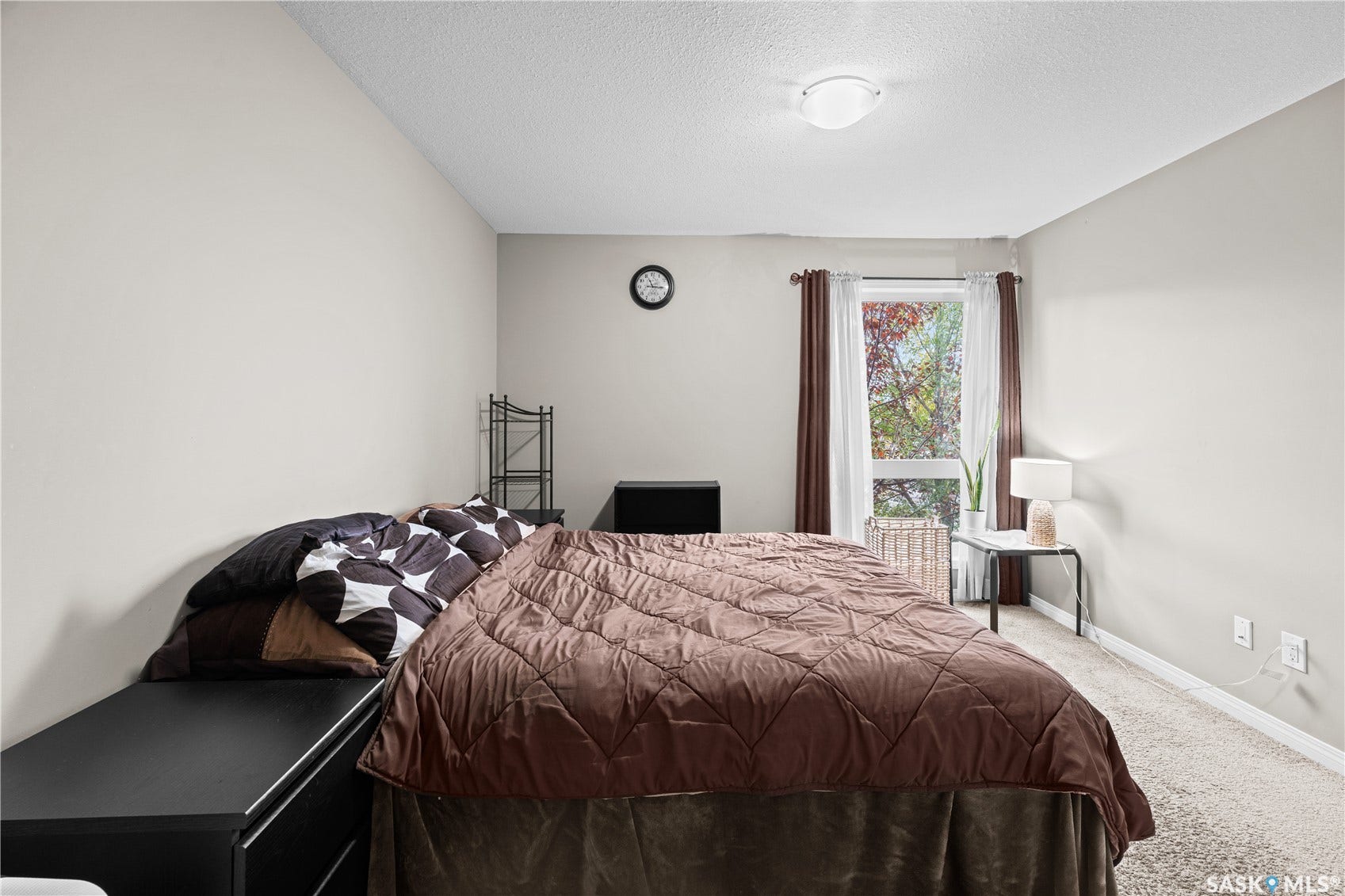 Carpeted flooring, window with natural light, and a ceiling-mounted light fixture