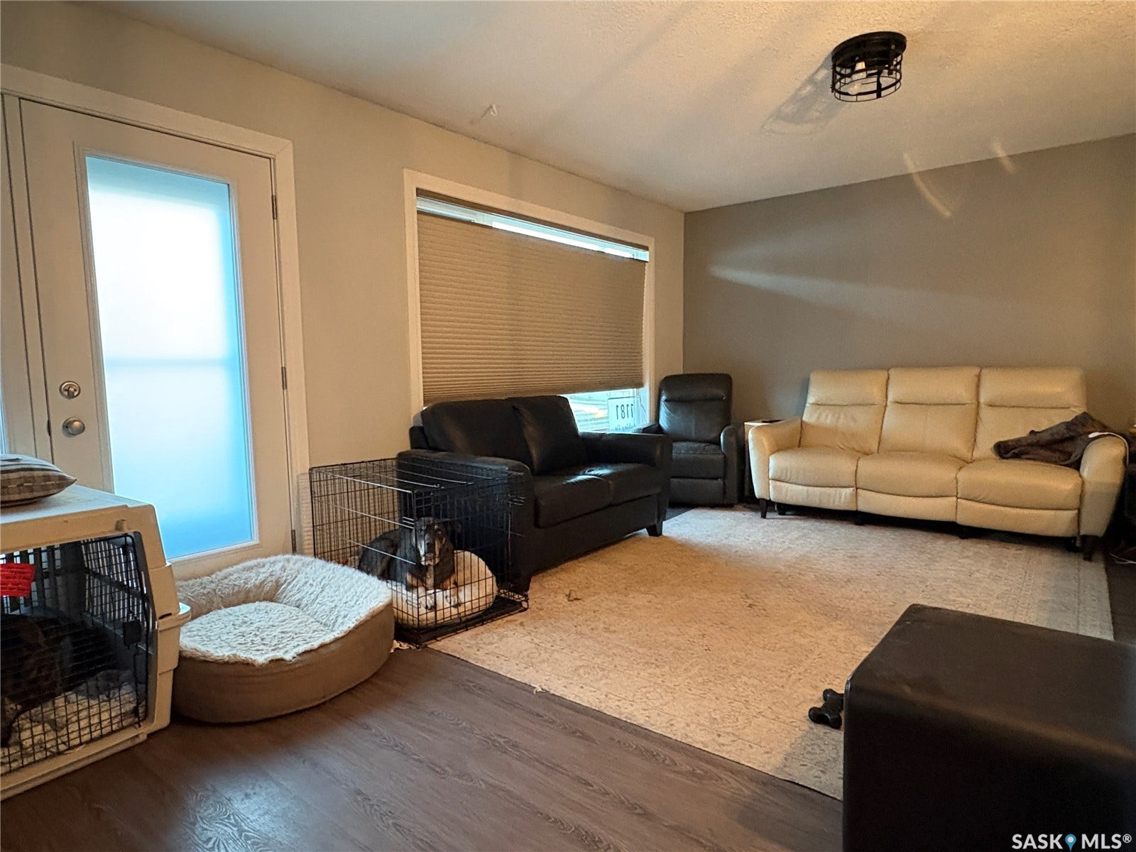 Wood-finish flooring with an area rug