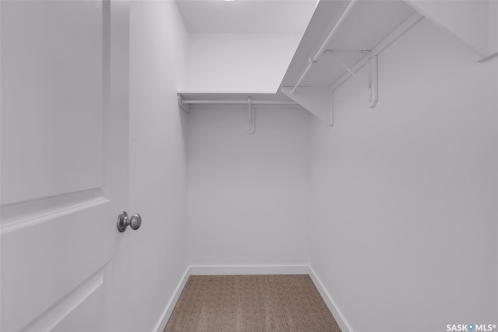 Built-in shelving and hanging rods, neutral wall color, and carpeted flooring