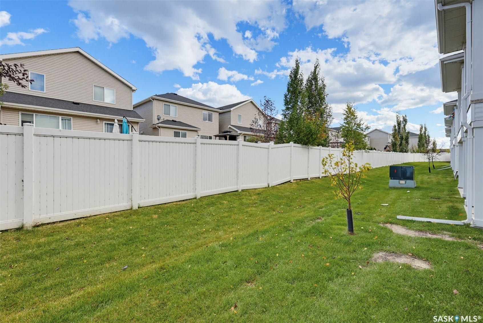 Expansive green space featuring a white privacy fence and a young tree