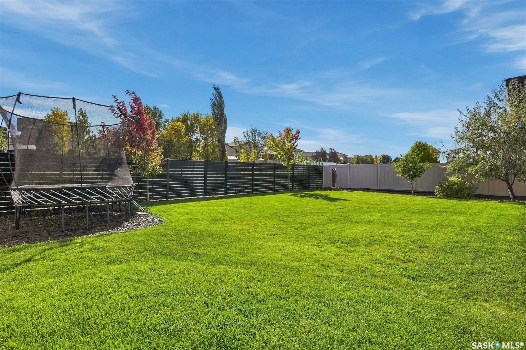 6221 Koep Avenue, Regina SK S4X 0J2 Expansive lawn area, modern horizontal slat fencing, white privacy fence, mature trees