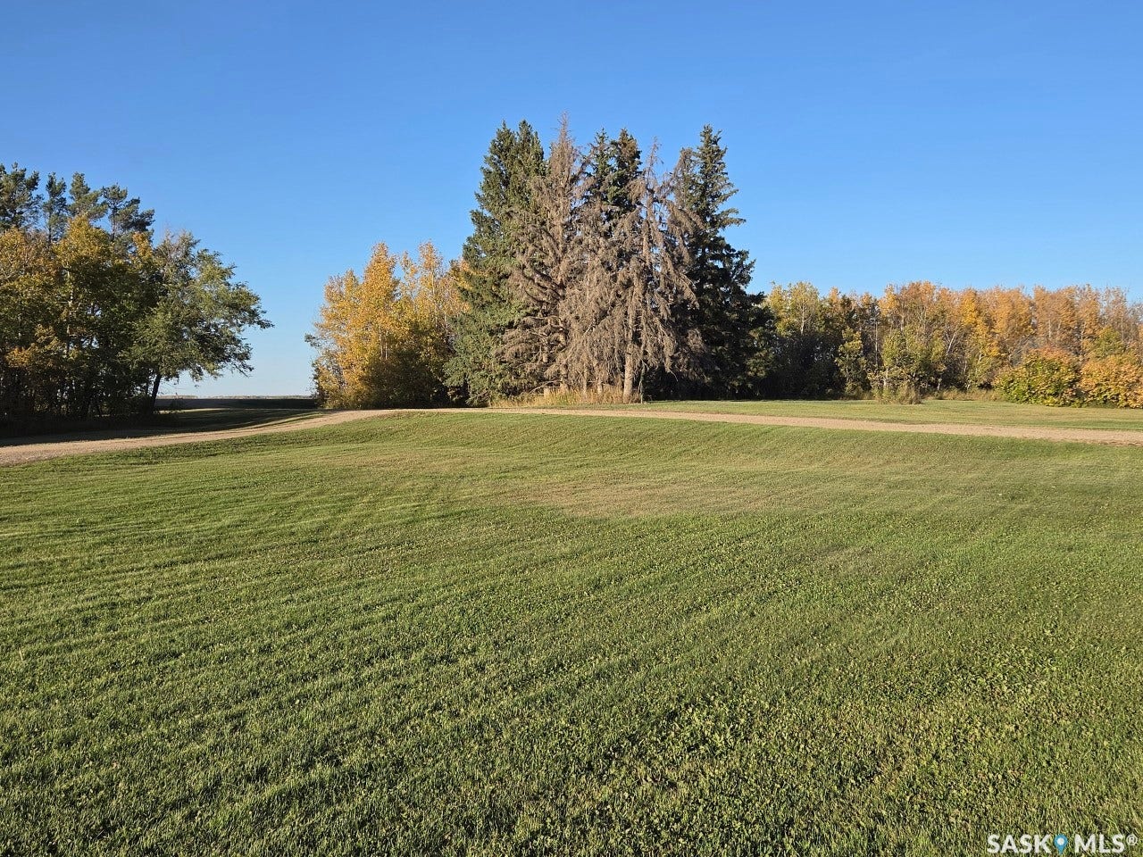 Expansive grassy area with mature deciduous and evergreen trees