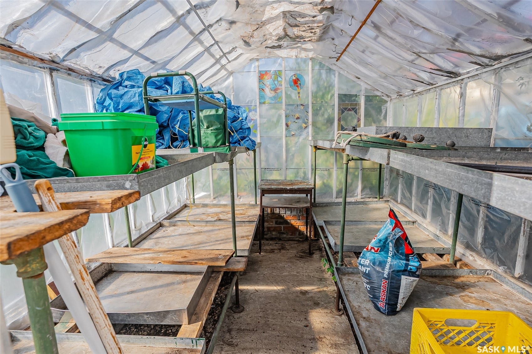 Greenhouse structure featuring translucent paneling, metal shelving, and a concrete pathway