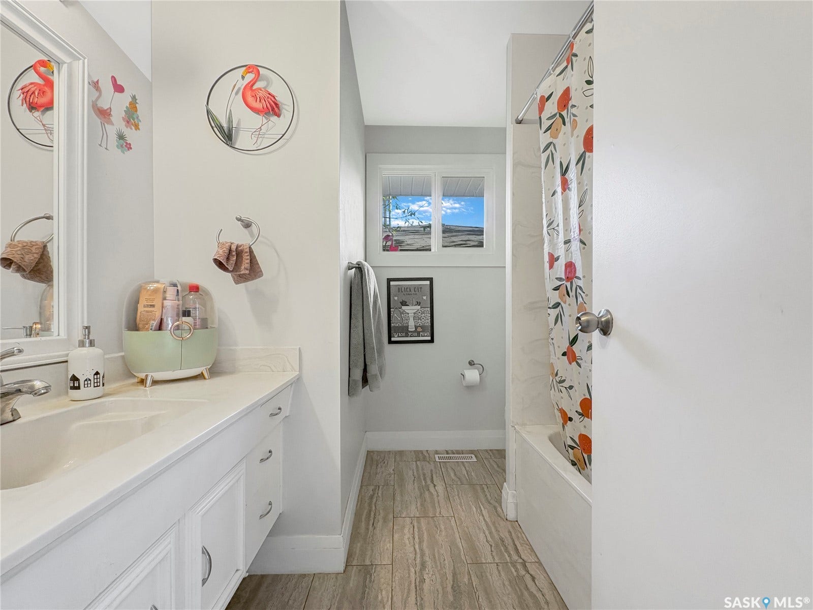 313 Birch Crescent, Saskatoon SK S7N 2M6
