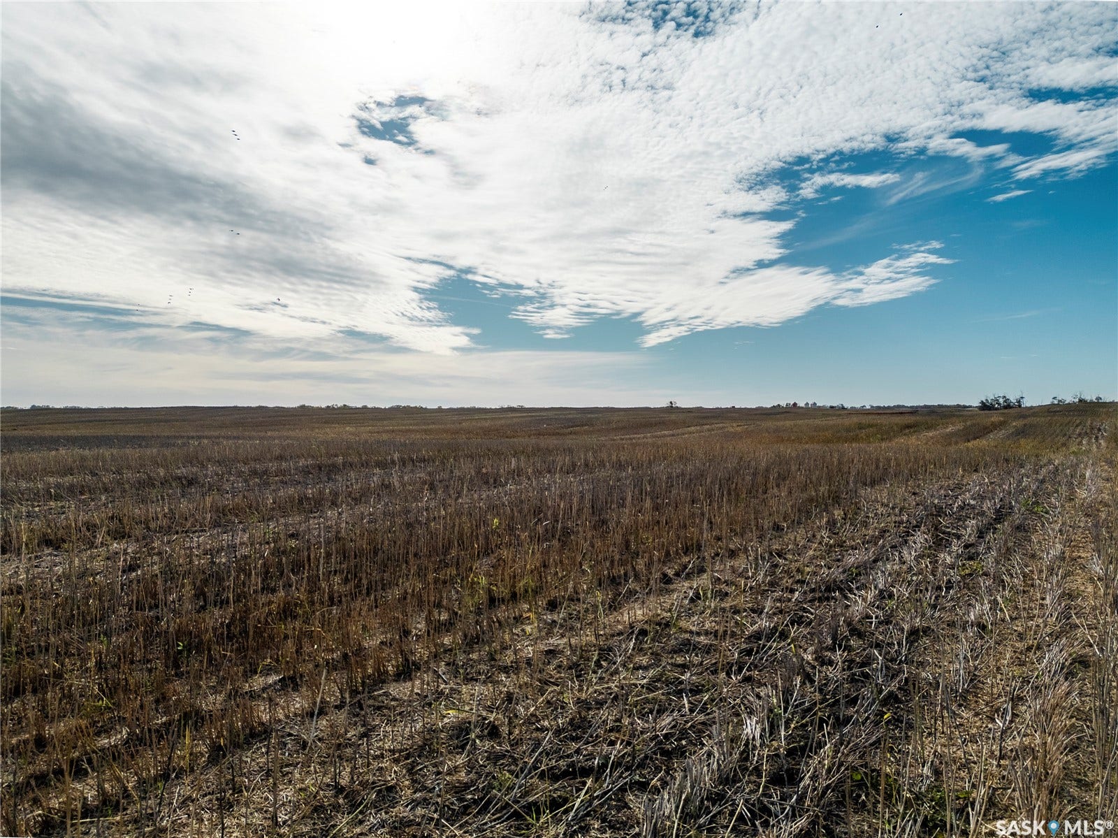 Rural Address, Longlaketon Rm No SK S0G 1J0 Rural Address, Longlaketon Rm No SK S0G 1J0