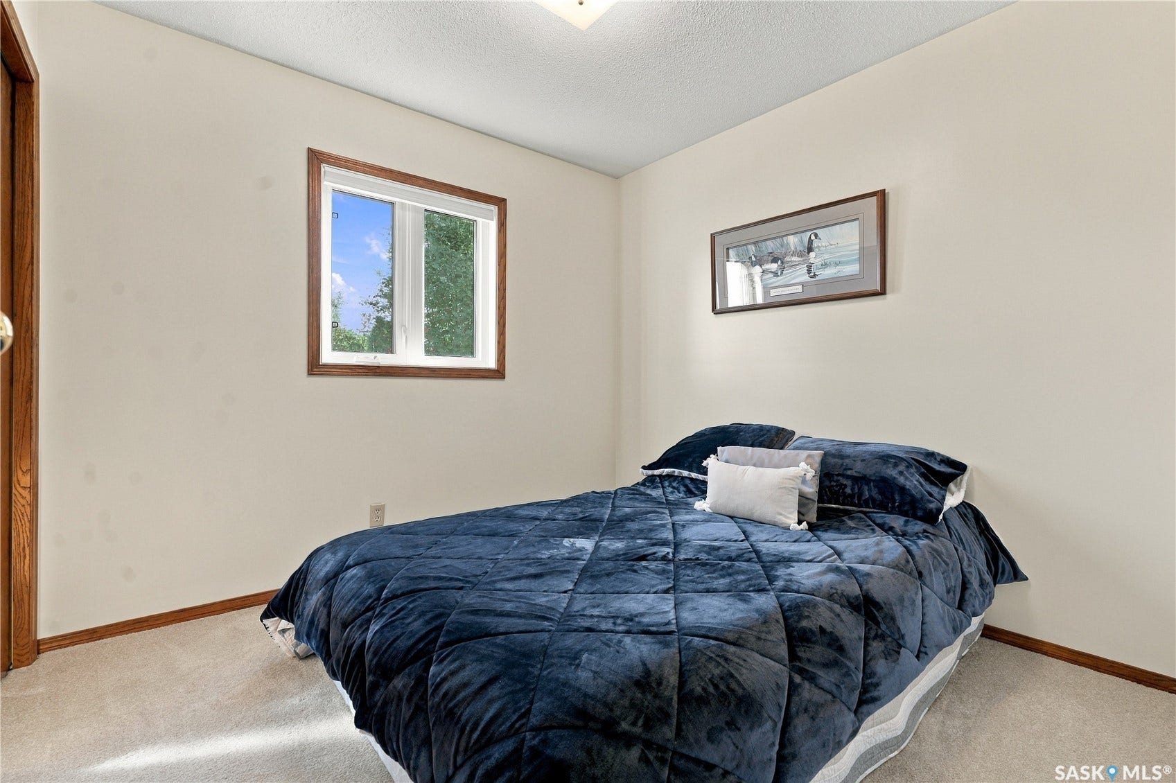Wall-to-wall carpeting, wood-trimmed window, wood-finish door, and wood-finish trim