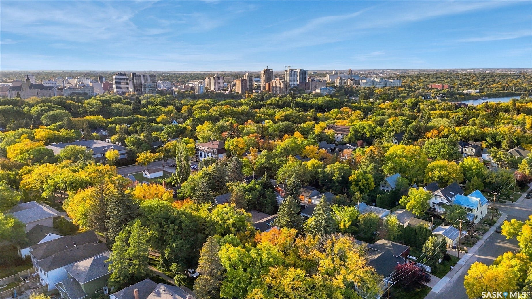 Expansive neighborhood with diverse architectural styles, abundant mature trees, and a distant city skyline