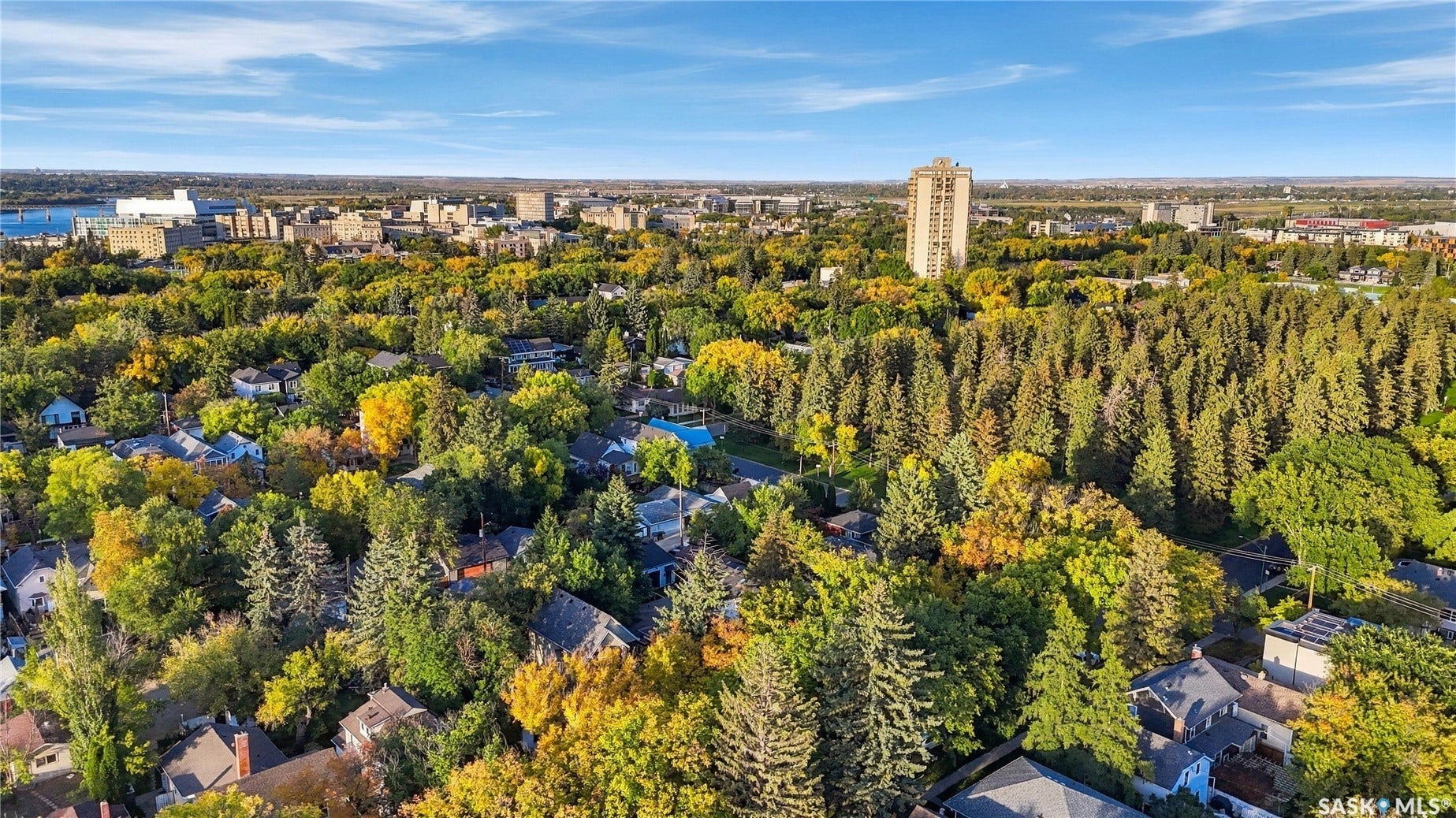 Expansive urban landscape with extensive tree canopy, residential rooftops, and distant city skyline