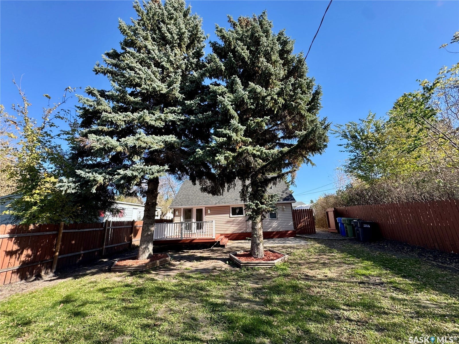 365 Keats Street, Southey SK S0G 4P0 Expansive backyard with two mature evergreen trees, a wooden deck, and a brown privacy fence